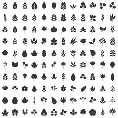 Fototapeta premium Large collection of leaf and flower silhouettes