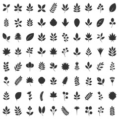 Fototapeta premium Dark gray botanical leaf icons set