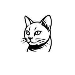 black cat vector illustration