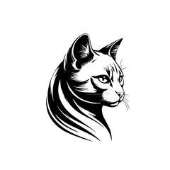 vector illustration of a cat