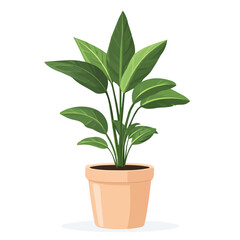 2D flat Tall Plant Pot vector illustration, isolated on a white background.