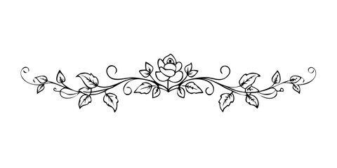Elegant outline floral divider with stylized rose and leaves  