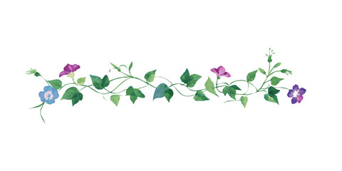 Hand-drawn floral divider in watercolor style with green vines  