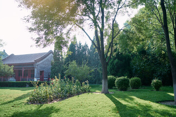 Scenic Green Garden with Sunlit Trees and Traditional Architectural Background..