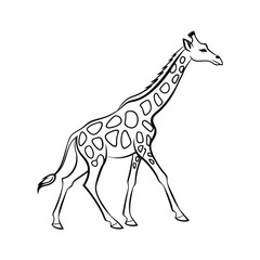 
A black and white line drawing of a giraffe, suitable for coloring, featuring outlined spots.