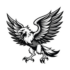 Powerful Black and White Eagle in Dynamic Flight.