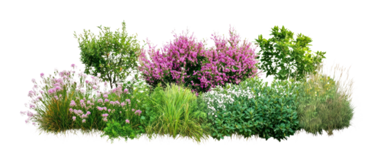 PNG Group of different bushes flower plants shrubs.