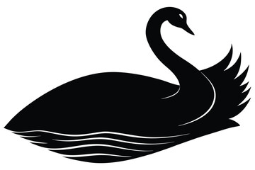 black swan vector illustration