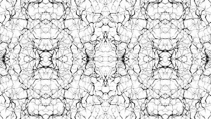 Abstract pattern of black lines resembling branches or cracks on a white background symmetrical design