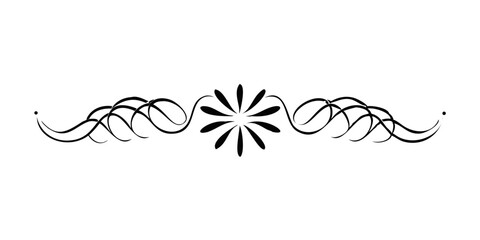 Ornate decorative line with floral elements in black and white  