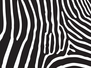 Abstract zebra stripe pattern in black and white. High-contrast animal skin design, perfect for backgrounds, textiles, and wildlife-themed artwork.