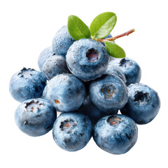 Closeup of Fresh Blueberries with Green Leaves on Transparent Background