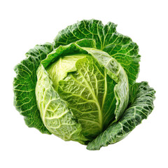 Fototapeta premium Fresh Green Cabbage Isolated on Transparent Background