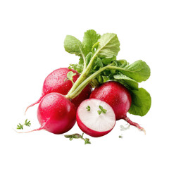 Red Radishes with Green Tops on White Background