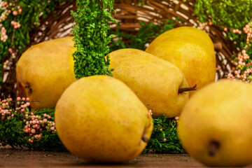 Beautiful, yellow pears, falling out of the basket, decorated with lichens and small flowers....