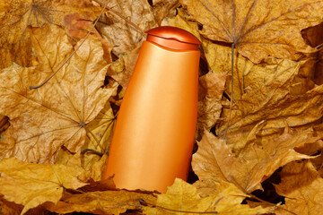 Golden brown bottle placed on autumn maple leaves. Cosmetics from maple tree. Dried maple leaves