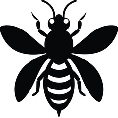 vector illustration of a bee