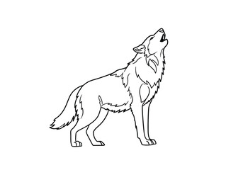 Howling wolf drawing. A howling wolf, a wild canine known for its distinctive vocalizations. The line art captures the wolf's form and the action of its howl. Vector sketch line art draw.