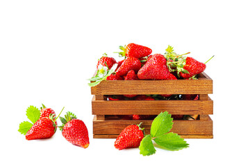 Ripe juicy strawberries with flowers and leaves in a wooden box.