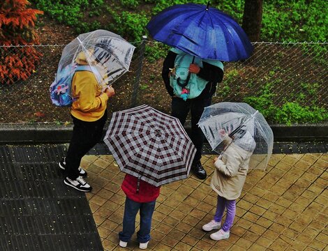 Cuatro paraguas de colores bajo la lluvia
