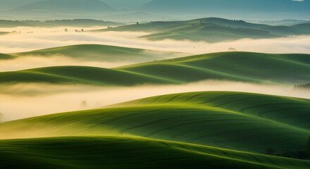 Obraz premium Curved Patterns of Desert Sand Dunes in Golden Light