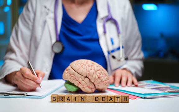 A profound and insightful representation of brain death regarded as a critical and complex medical condition