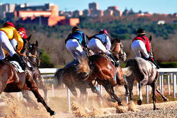 Caballos pura sangre de carreras y jockeys en fila a máxima velocidad en la pista salpicando arena del hipódromo con ciudad de fondo