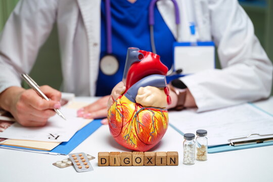 A healthcare professional examines a heart model while documenting notes and medications for patient care
