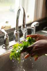 Hands washing fresh herbs in the sink © miss