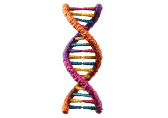 Vibrant colorful dna helix genetic code science biology, On Transparent Background