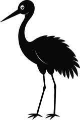Obraz premium black crowned crane