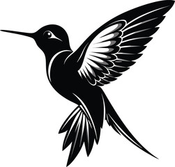 Fototapeta premium black and white hummingbird