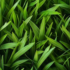 Obraz premium Photo of Lush Green Grass Close-Up Showing Fine Texture and Vibrant Natural Color for Outdoor Theme