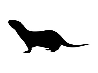 Silhouette of Eurasian otter Lutra lutra. The Eurasian river otter. Wild semiaquatic mammal of Eurasia. Realistic vector animal