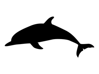 Dolphin silhouette. Realistic vector secondary water mammals