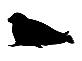 Silhouette of Harp Seal, saddleback seal or Greenland Seal. Animals mammals of the Arctic. Vector illustration set.
