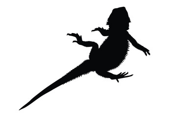bearded dragon silhouette on white background