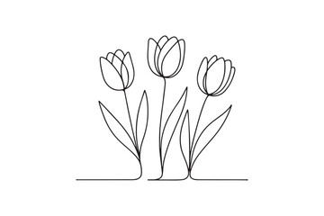 tulips continuous one line drawing minimalism design
