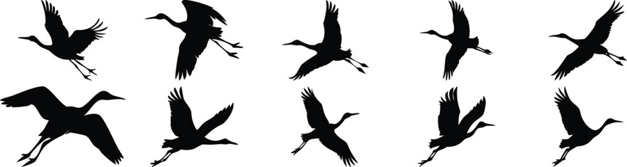 Obraz premium Flying Crane Silhouettes - Black Vector Bird Collection