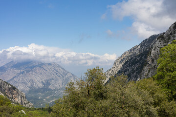 Fototapeta premium Wide landscape of high rocky mountains partially covered with forest, under a sky filled with cumulus clouds. Dynamic and vibrant nature scene.