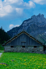 Rustic mountain cabin surrounded by vibrant green grass and wildflowers under a clear sky in the countryside
