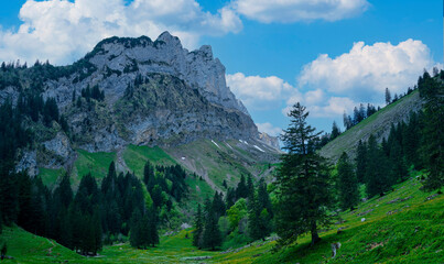 Majestic mountain landscape under clear blue sky showcasing lush greenery and towering peaks in a serene setting