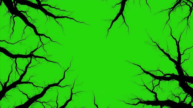 Spooky bare tree branches silhouette on a green screen background