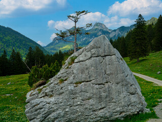 Unique rock formation with a tree flourishing on top, surrounded by mountains and greenery