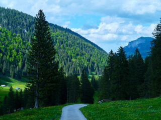 Scenic hiking trail winds through lush green forests and majestic mountains in the daytime