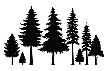 Silhouettes of evergreen trees in a forest setting