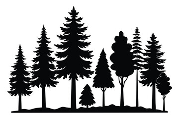 Fototapeta premium Silhouettes of various evergreen and deciduous trees in a forest