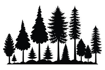 Obraz premium Silhouettes of evergreen trees in a forest landscape