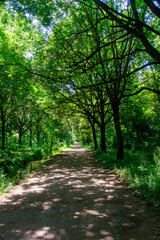 Parco Nord, public park in Milan, Italy