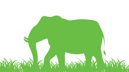 Graceful wild African elephant walking through nature's green grass, a beautiful mammal